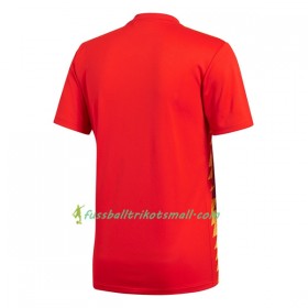 Fußballtrikots Spanien WM 2018 Heimtrikotsatz kaufen